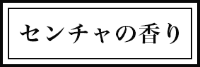 センチャの香り