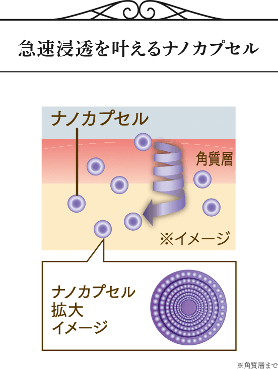 急速浸透を叶えるナノカプセル