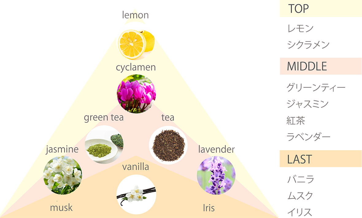 TOP:レモン,シクラメン／MIDDLE：グリーンティー,ジャスミン,紅茶,ラベンダー／LAST：バニラ,ムスク,イリス