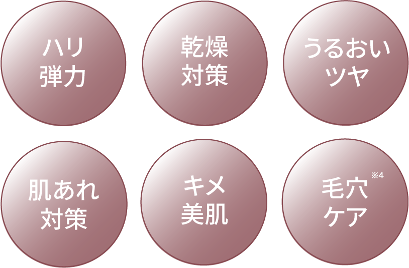 ハリ弾力/乾燥対策/うるおいツヤ/肌あれ対策/キメ美肌/毛穴ケア※4