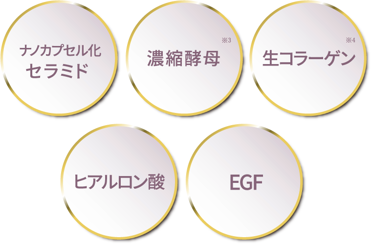 ナノカプセル化セラミド/濃縮公募※3/生コラーゲン※4/ヒアルロン酸/EGF