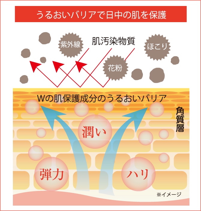 うるおいバリアで日中の肌を保護