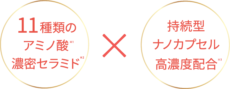 11種類のアミノ酸濃密セラミド × 持続型ナノカプセル高濃度配合