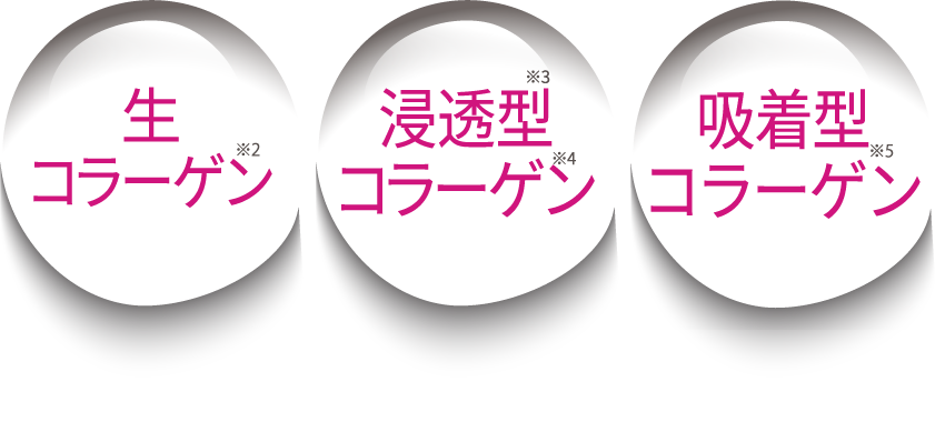 生コラーゲン*2 浸透型*3コラーゲン*4 吸着型コラーゲン*5