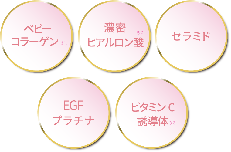 ナノカプセル化セラミド/濃縮公募※3/生コラーゲン※4/ヒアルロン酸/EGF