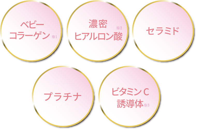 ナノカプセル化セラミド/濃縮公募※3/生コラーゲン※4/ヒアルロン酸/プラチナ