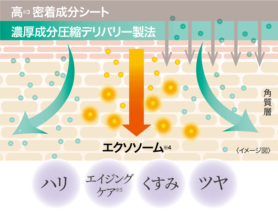 ダーマレーザー スーパー エクソソーム100 マスク